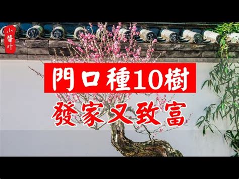 家門口放盆栽